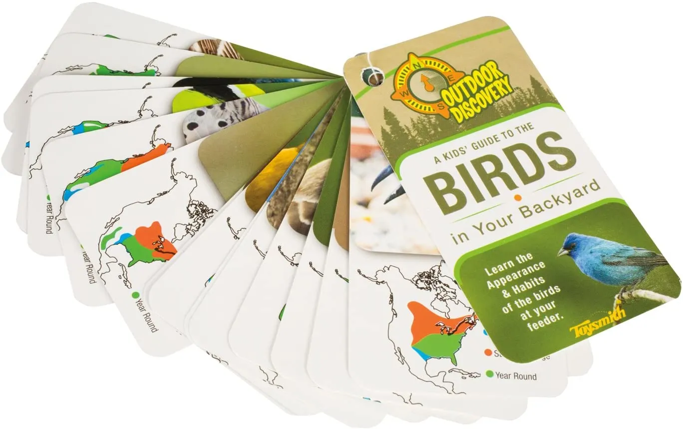 Little Birder Set