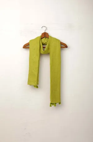 Stitched 1 Piece Dyed Cotton Scarf (WADC23W-1026)